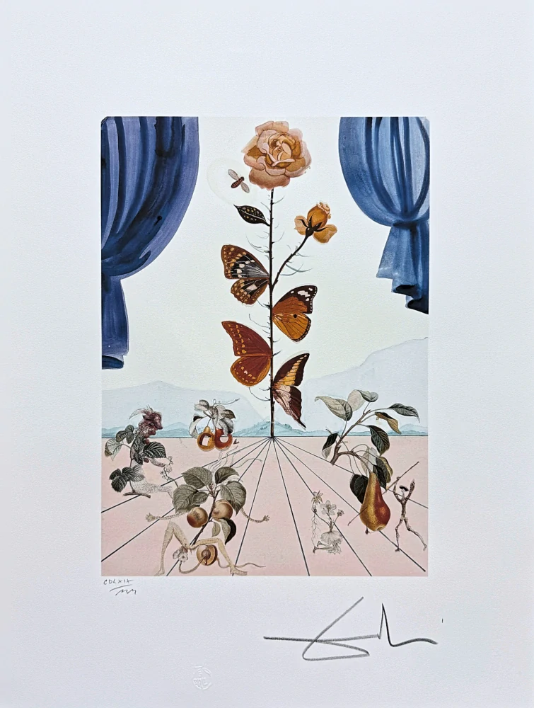 Salvador Dalí - La rose papillon - signováno, limitovaná edice, 50x66cm