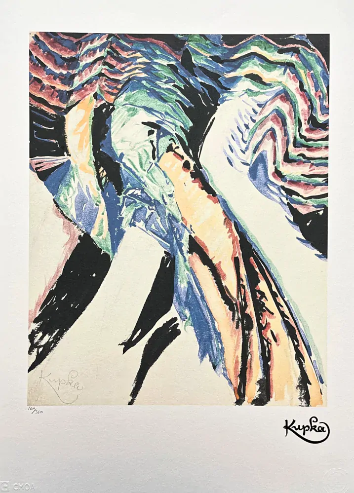 František Kupka - Study for Conte de pistils 100/350- limitovaná edice s certifikátem, 50x70cm
