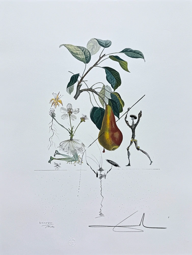 Salvador Dalí - Flordali Les Fruis - signováno, limitovaná edice, 50x66cm