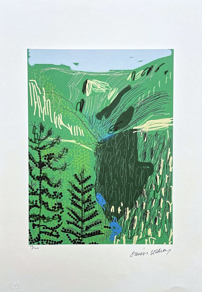 David Hockney - The Yosemite suite no.21 x/500 - limitovaná edice s certifikátem, 35x50 cm