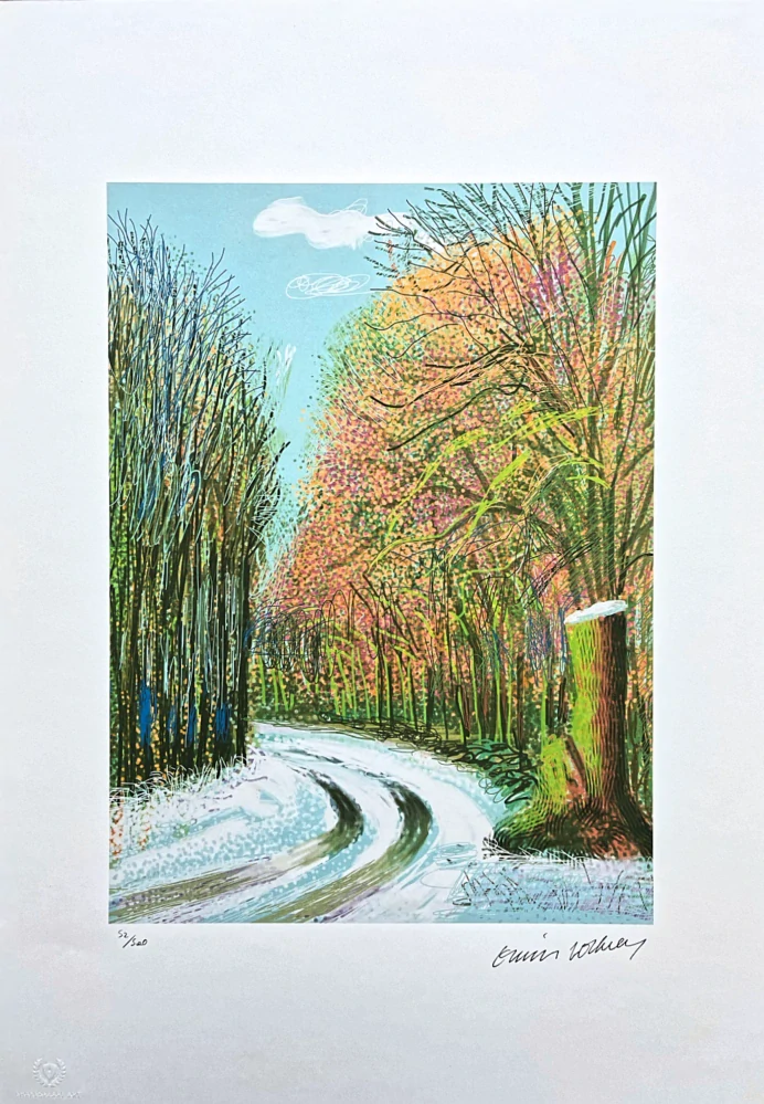 David Hockney - The Arrival of Spring in Woldgate no.8 x/500 - limitovaná edice s certifikátem, 35x50 cm
