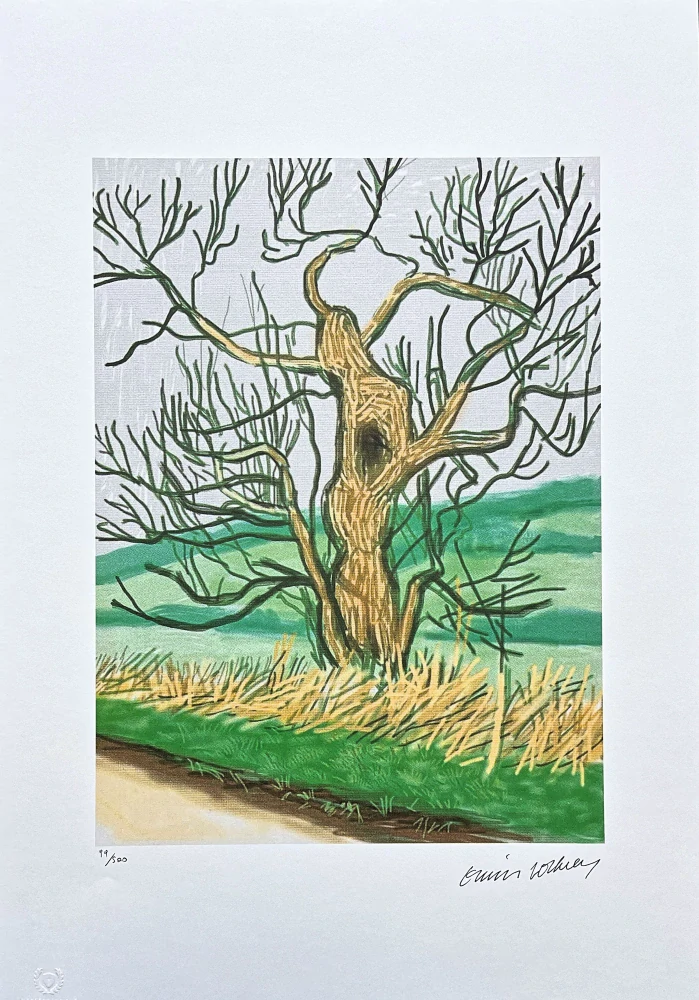 David Hockney - The Arrival of Spring in Woldgate - Willow 99/500 - limitovaná edice s certifikátem, 35x50 cm