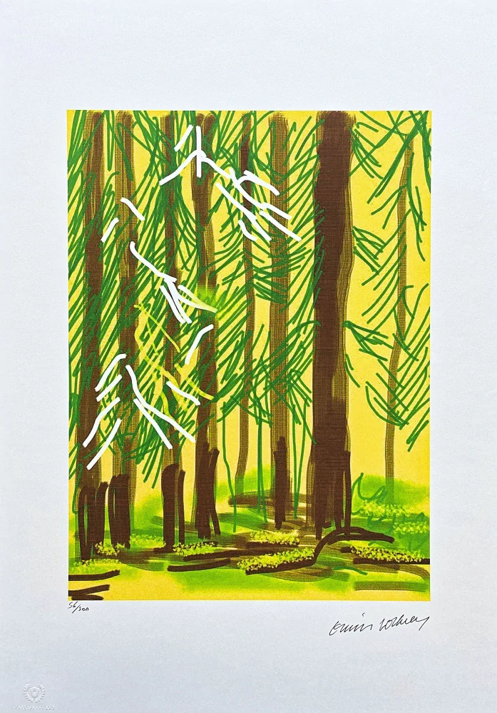 David Hockney - The Yosemite suite - Trees on a green Background 56/500 - limitovaná edice s certifikátem, 35x50 cm