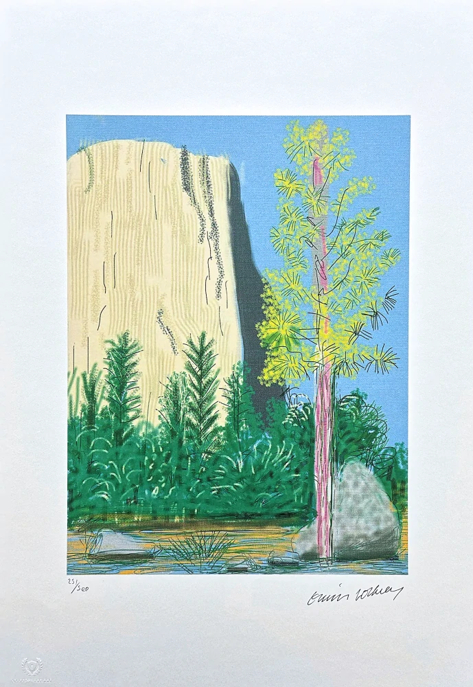 David Hockney - The Yosemite suite no.22 x/500 - limitovaná edice s certifikátem, 35x50 cm