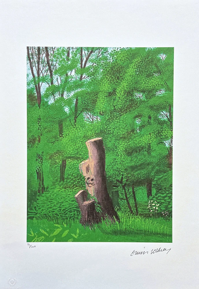 David Hockney - The Arrival of Spring in Woldgate 22th May 93/500 - limitovaná edice s certifikátem, 35x50 cm