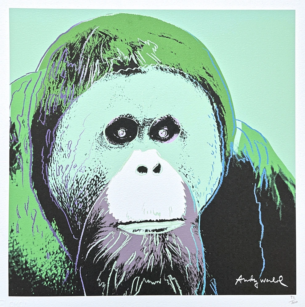 Andy Warhol - Orangutan zeleno-šedý 92/500 - signováno, 50x50cm, limitovaná edice CMOA s certifikátem
