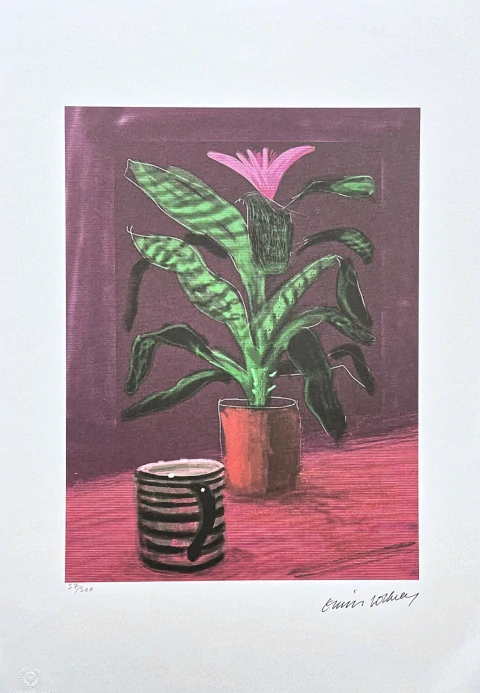 David Hockney - Flower with striped mug 57/500 - limitovaná edice, s certifikátem, 35x50 cm