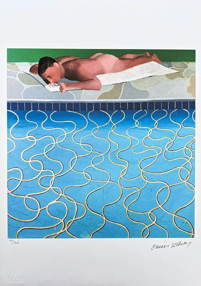 David Hockney - The Sunbather 101/500 - limitovaná edice, s certifikátem, 35x50 cm