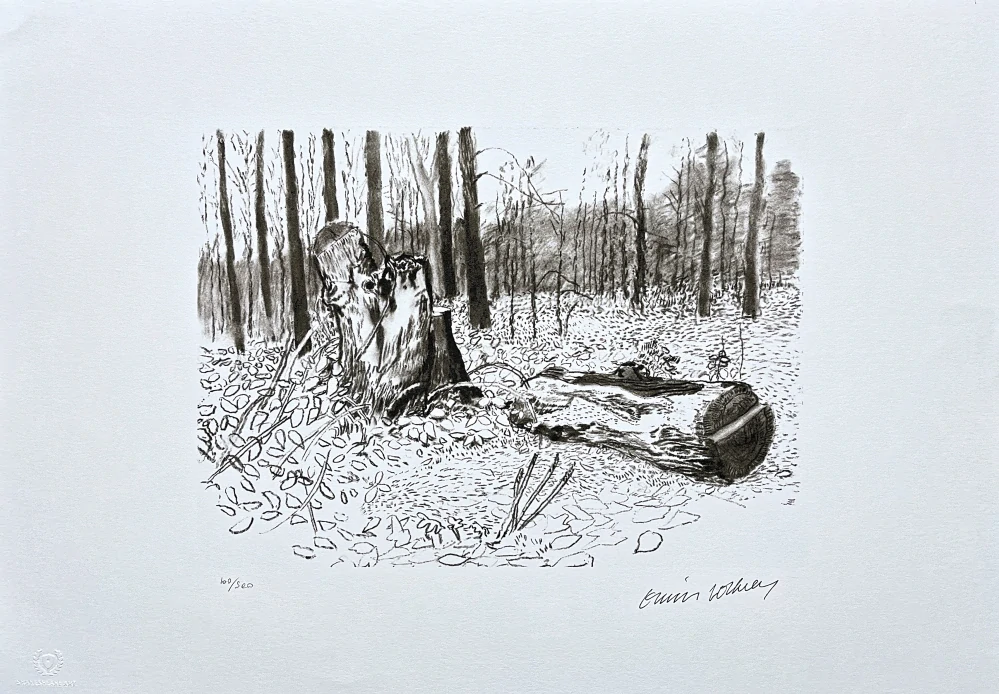 David Hockney - Vandalized Totem 100/500 - limitovaná edice s certifikátem, 50x35 cm