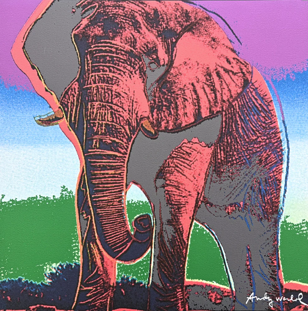 Andy Warhol - Elephant růžovo zelené pozadí x/2400 - 60x60 cm, limitovaná edice CMOA s certifikátem