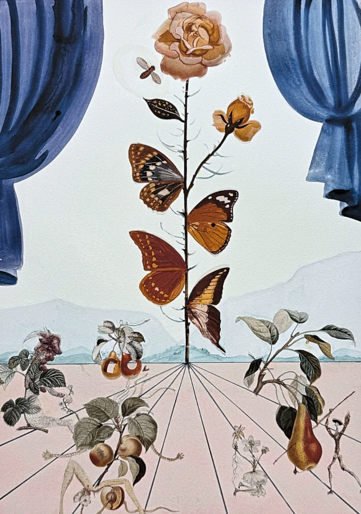 Salvador Dalí - La rose papillon - signováno, limitovaná edice, 50x66cm