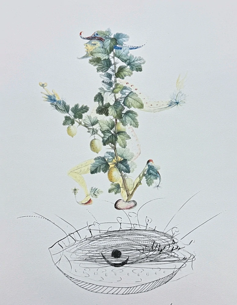Salvador Dalí - Currant's Reverence - signováno, limitovaná edice, 50x66cm