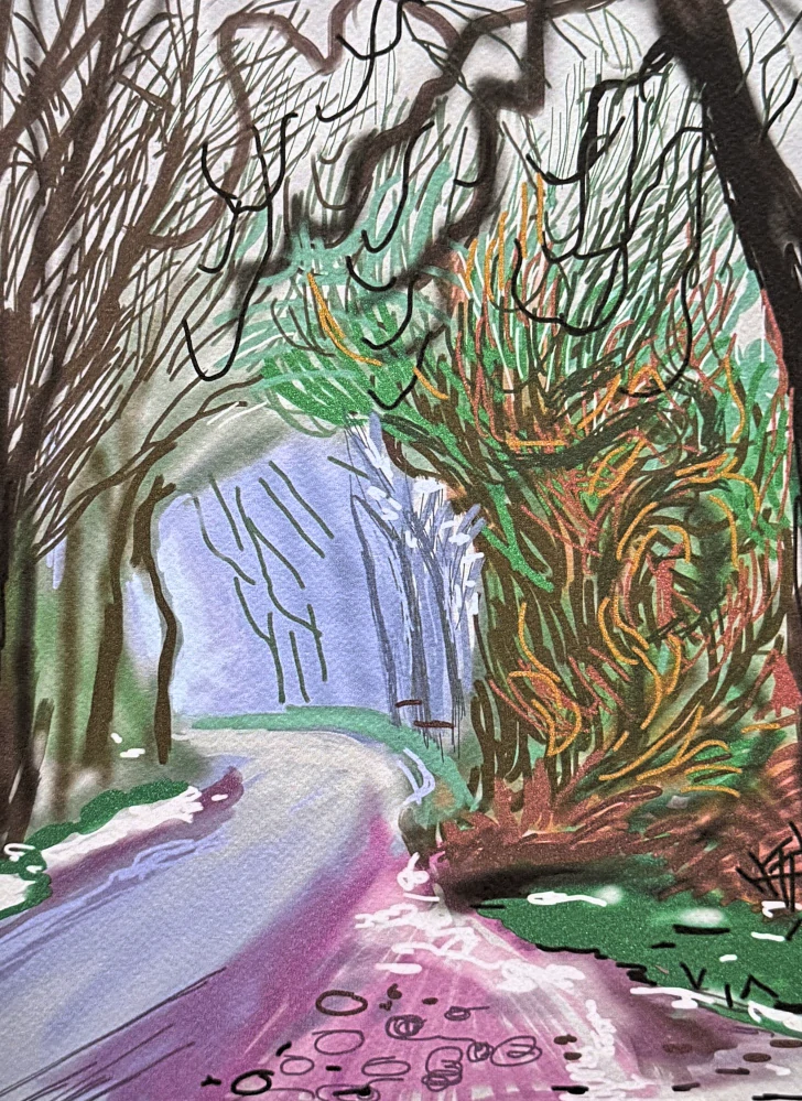 David Hockney -  The Arrival of Spring in Woldgate, East Yorkshire 6/200 - limitovaná edice, s certifikátem, 35x50 cm