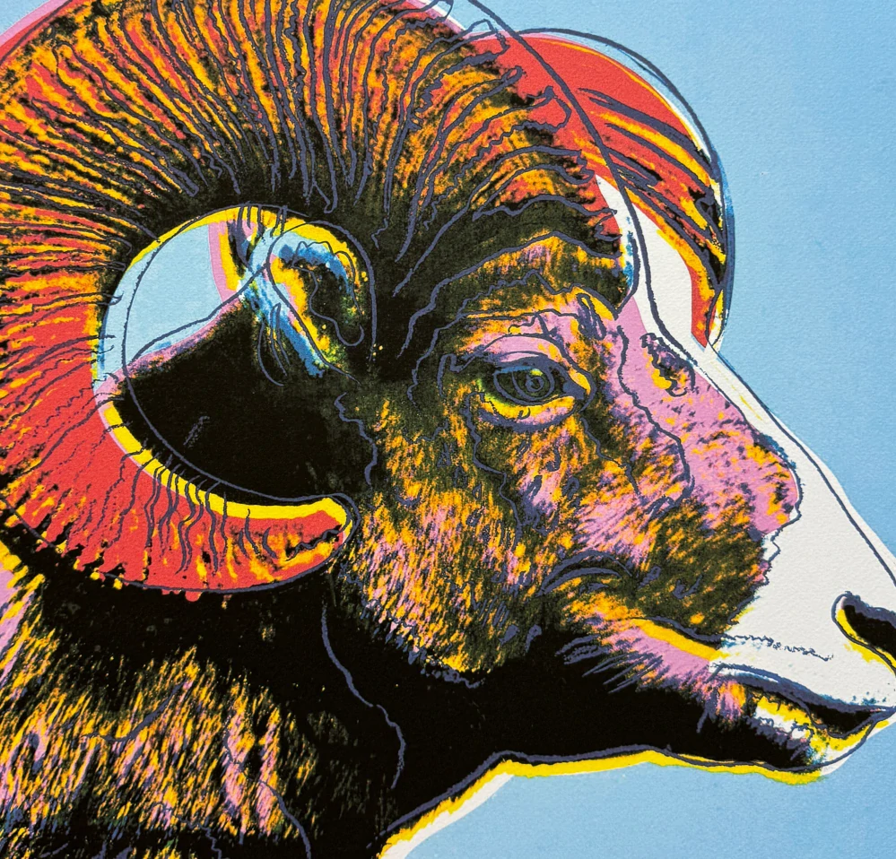 Andy Warhol - Bighorn ram růžovo-modrý 127/500 - signováno, 50x50cm, limitovaná edice CMOA s certifikátem