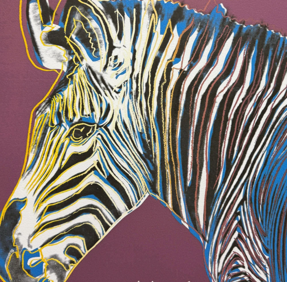 Andy Warhol - Grevys zebra sytě růžová 55/500 - signováno, 50x50cm, limitovaná edice CMOA s certifikátem