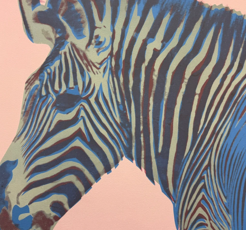 Andy Warhol - Grevys zebra růžová 18/2400 - 60x60cm, limitovaná edice CMOA s certifikátem