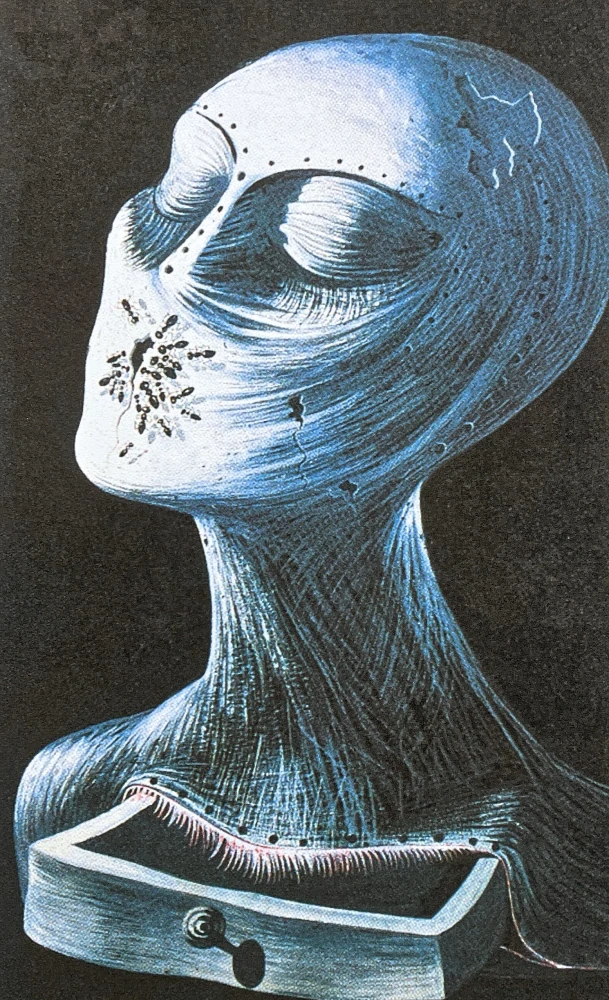 Salvador Dalí - Ant Face - signováno, limitovaná edice, 50x66cm