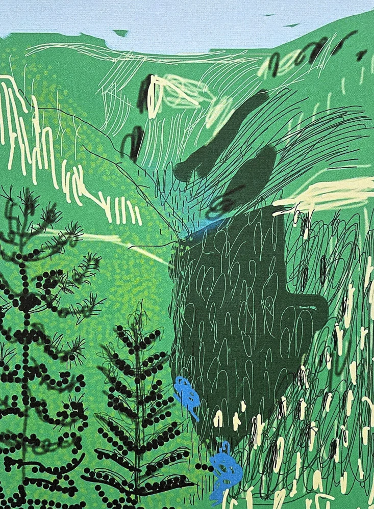 David Hockney - The Yosemite suite no.21 x/500 - limitovaná edice s certifikátem, 35x50 cm