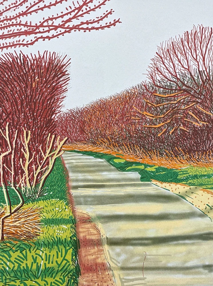 David Hockney - The Yosemite suit with bushes 73/500 - limitovaná edice s certifikátem, 35x50 cm
