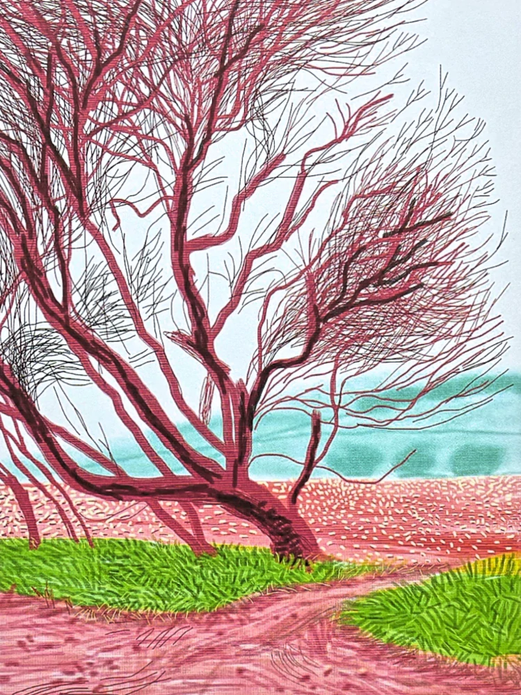 David Hockney - The Arrival of Spring in Woldgate - 18th March x/500 - limitovaná edice s certifikátem, 35x50 cm