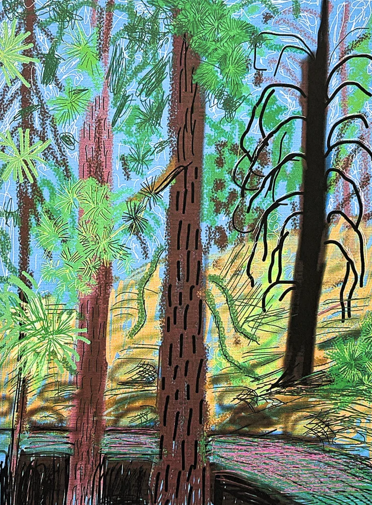 David Hockney - The Yosemite suite no.6 183/500 - limitovaná edice s certifikátem, 35x50 cm