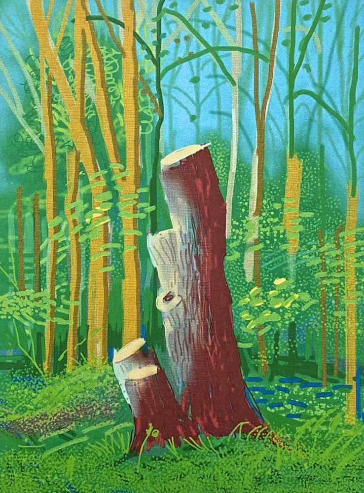 David Hockney - The Arrival of Spring in Woldgate no.24 81/500 - limitovaná edice s certifikátem, 35x50 cm