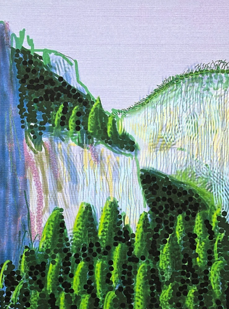 David Hockney - The Yosemite suite no.11 24/500 - limitovaná edice s certifikátem, 35x50 cm