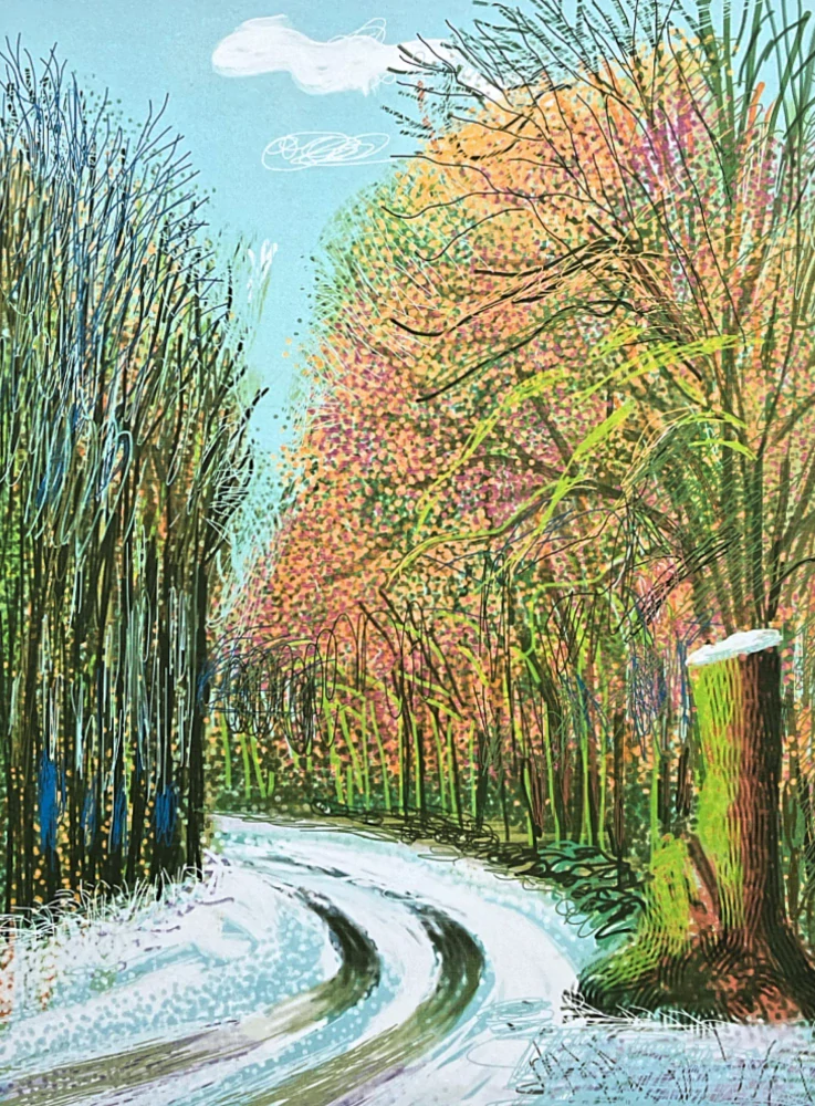 David Hockney - The Arrival of Spring in Woldgate no.8 x/500 - limitovaná edice s certifikátem, 35x50 cm