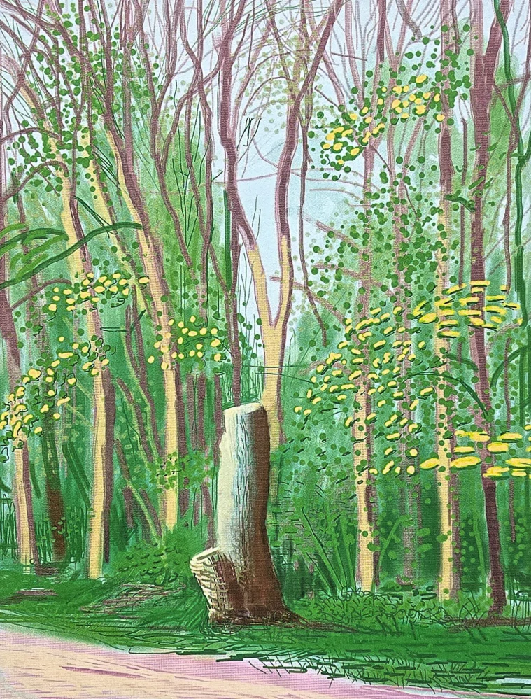 David Hockney - The Arrival of Spring in Woldgate no.13 161/500 - limitovaná edice s certifikátem, 35x50 cm