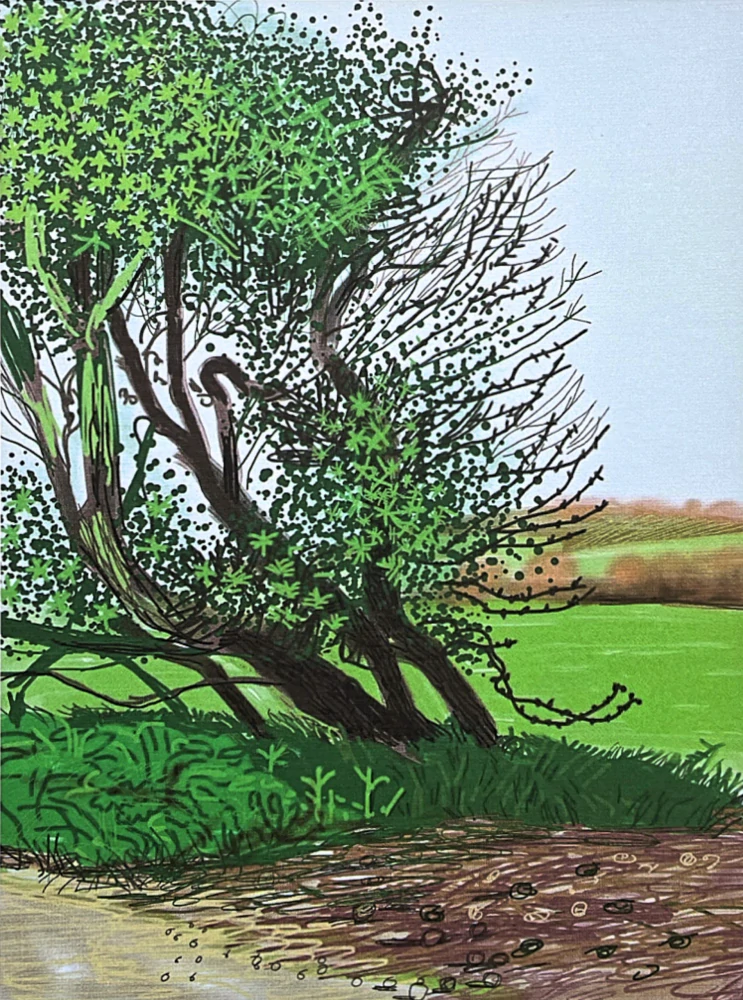 David Hockney - The Arrival of Spe ring in Woldgate - Leaning Tre 190/500 - limitovaná edice s certifikátem, 35x50 cm