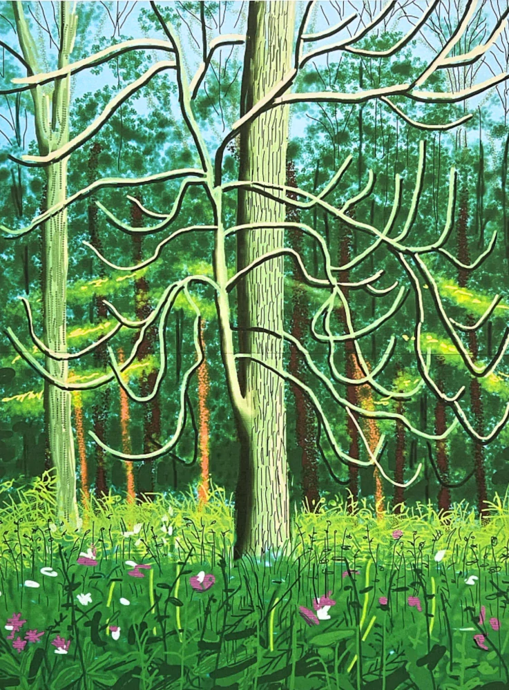 David Hockney - The Arrival of Spring in Woldgate no.17 x/500 - limitovaná edice s certifikátem, 35x50 cm
