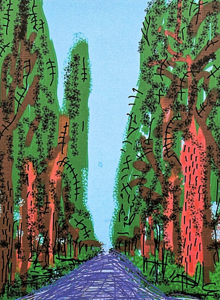 David Hockney - The Yosemite suite no.5 78/500 - limitovaná edice s certifikátem, 35x50 cm