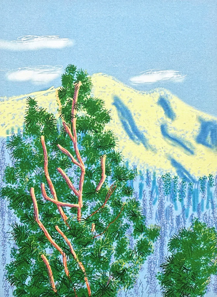 David Hockney - The Yosemite suite no.9 119/500 - limitovaná edice s certifikátem, 35x50 cm
