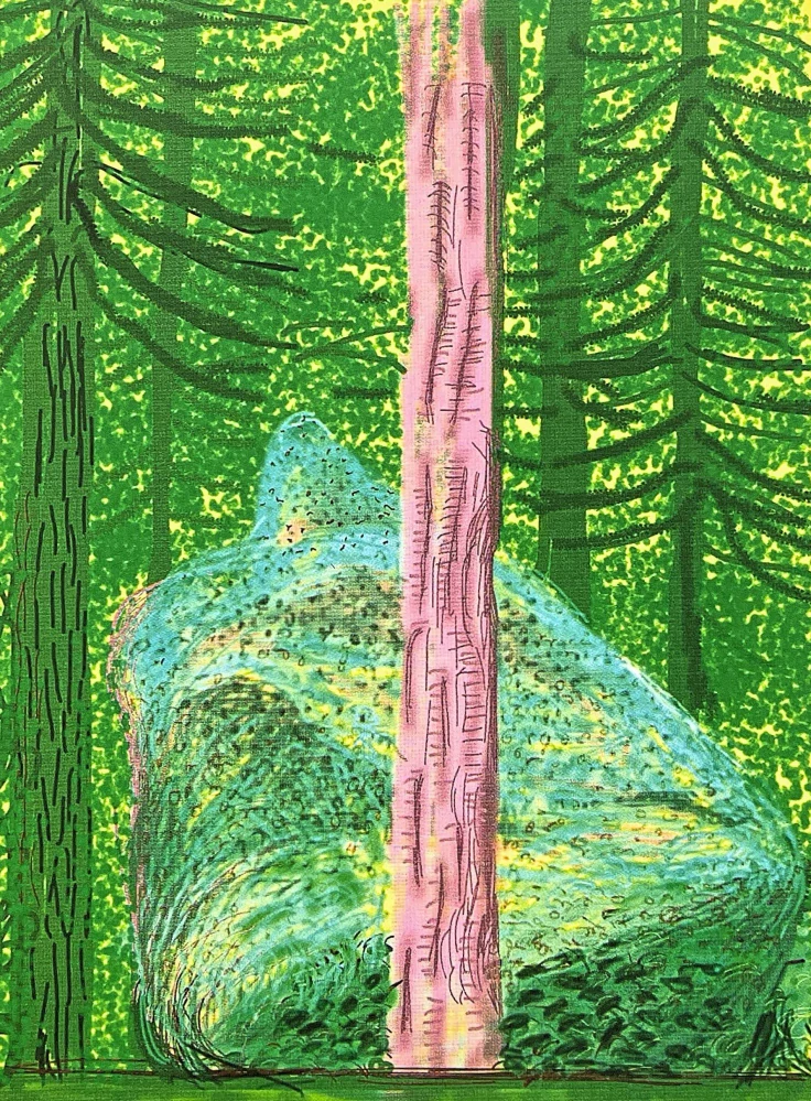 David Hockney - The Yosemite suite no.19 8/500 - limitovaná edice s certifikátem, 35x50 cm
