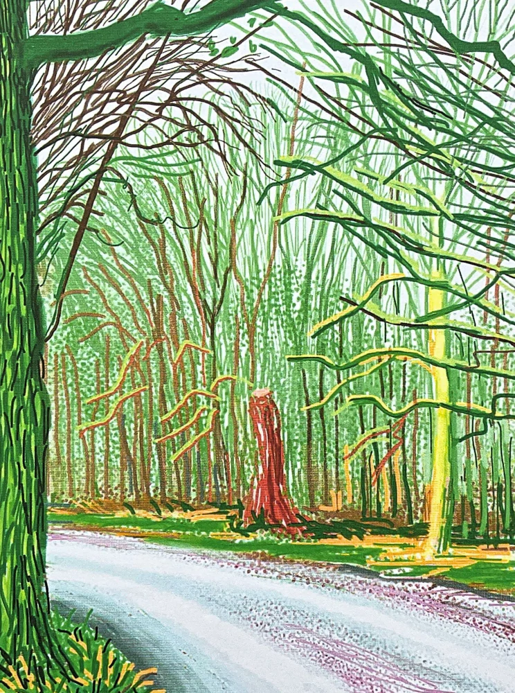 David Hockney - The Arrival of Spring in Woldgate 23th April x/500 - limitovaná edice s certifikátem, 35x50 cm