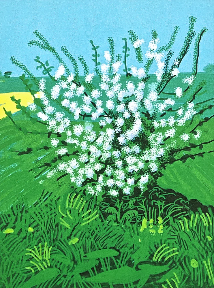 David Hockney - The Arrival of Spring in Woldgate 30th April 100/500 - limitovaná edice s certifikátem, 35x50 cm