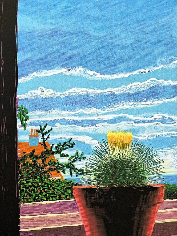 David Hockney - Cactus with Yellow Flowers 41/500 - limitovaná edice s certifikátem, 35x50 cm