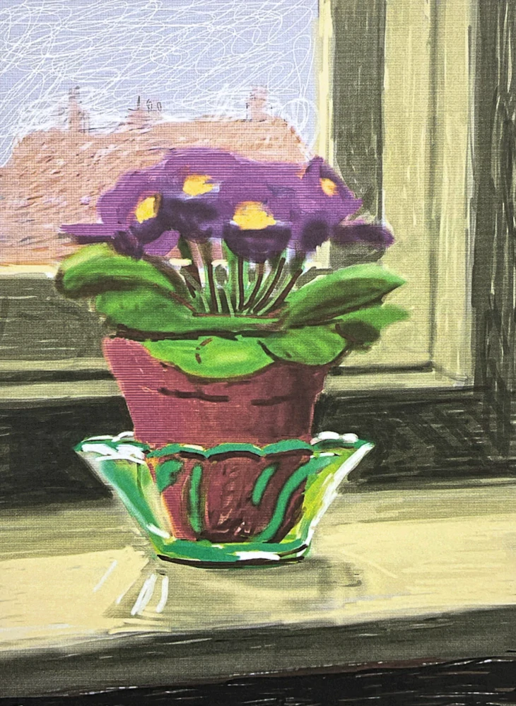 David Hockney - Purple Primrose 206/500 - limitovaná edice s certifikátem, 35x50 cm