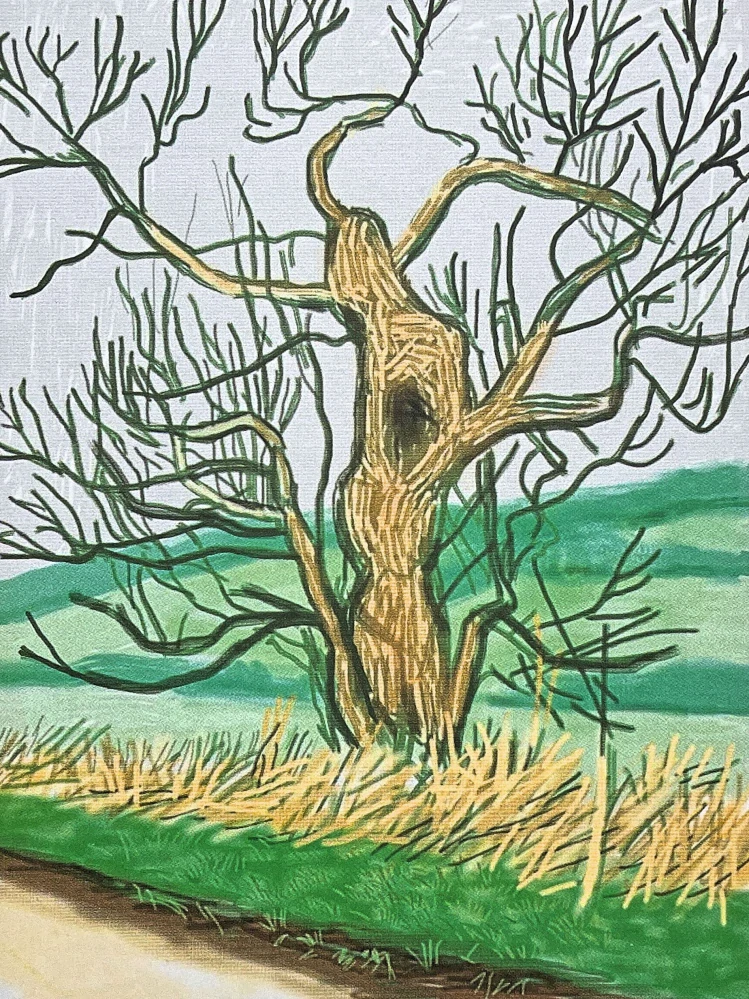 David Hockney - The Arrival of Spring in Woldgate - Willow 99/500 - limitovaná edice s certifikátem, 35x50 cm