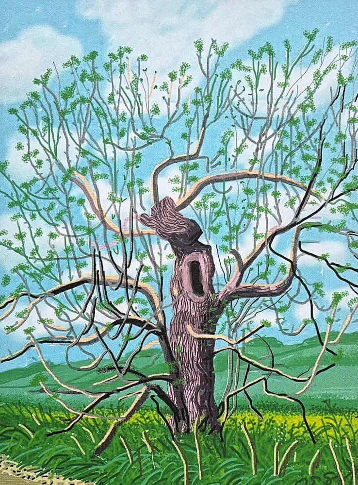 David Hockney - The Arrival of Spring in Woldgate - Willow II 70/500 - limitovaná edice s certifikátem, 35x50 cm