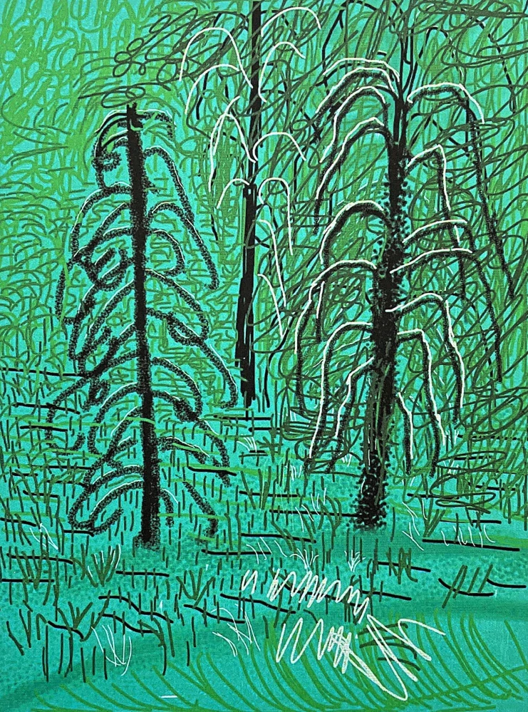 David Hockney - The Yosemite suite no.16 27/500 - limitovaná edice s certifikátem, 35x50 cm