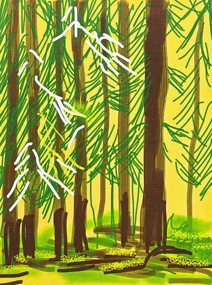 David Hockney - The Yosemite suite - Trees on a green Background 56/500 - limitovaná edice s certifikátem, 35x50 cm