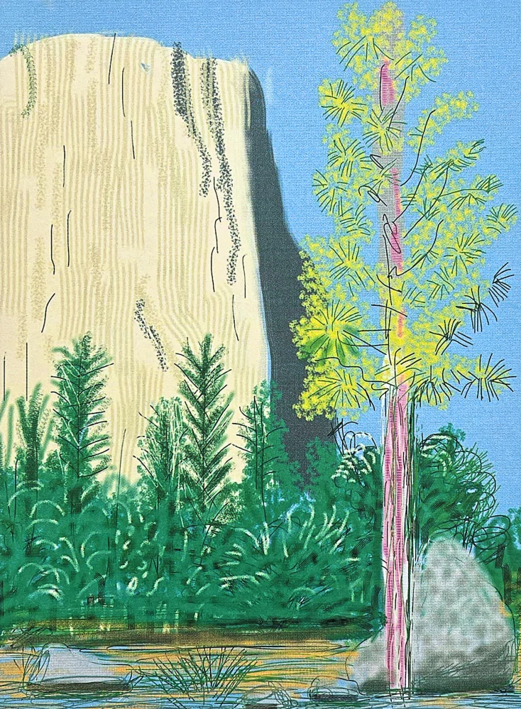 David Hockney - The Yosemite suite no.22 x/500 - limitovaná edice s certifikátem, 35x50 cm