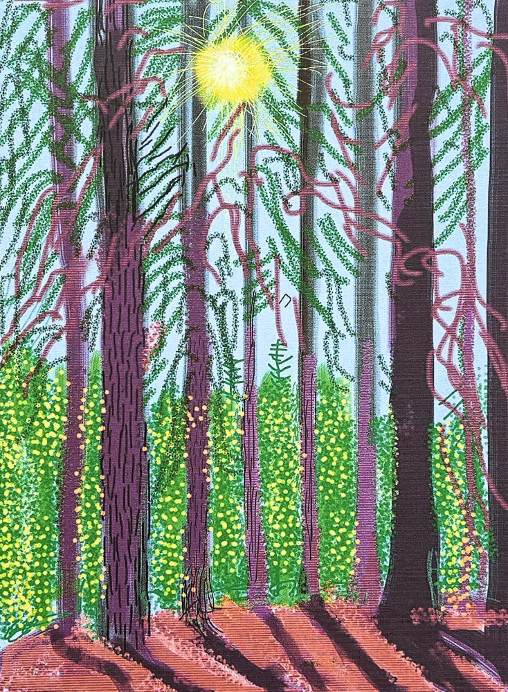 David Hockney - The Yosemite suite no.4 155/500 - limitovaná edice s certifikátem, 35x50 cm