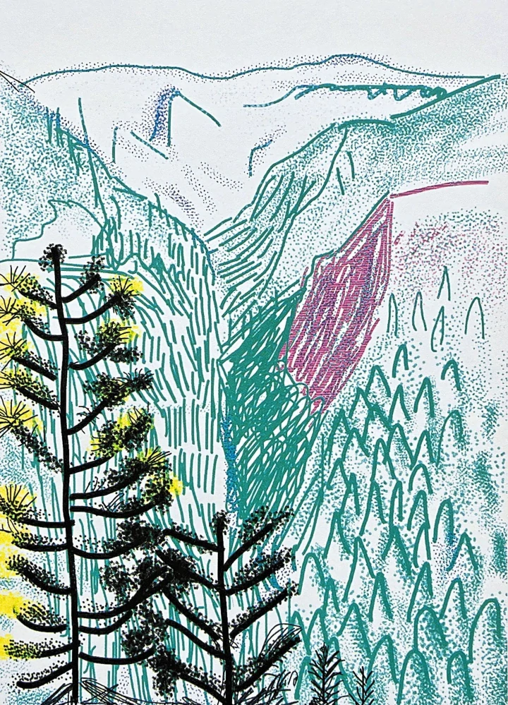 David Hockney - The Yosemite suite - Black Tree 3 /500 - limitovaná edice s certifikátem, 35x50 cm