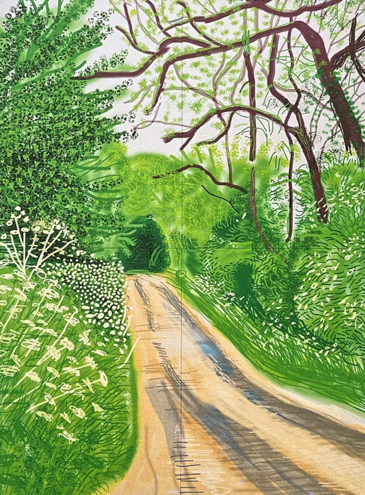 David Hockney - The Arrival of Spring in Woldgate 16th May - Road in spring x/500 - limitovaná edice s certifikátem, 35x50 cm