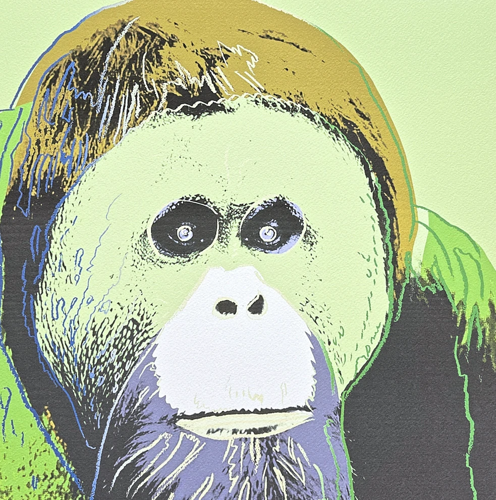 Andy Warhol - Orangutan zeleno-hnědý 46/500 - signováno, 50x50cm, limitovaná edice CMOA s certifikátem