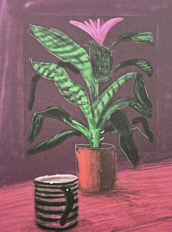 David Hockney - Flower with striped mug 57/500 - limitovaná edice, s certifikátem, 35x50 cm