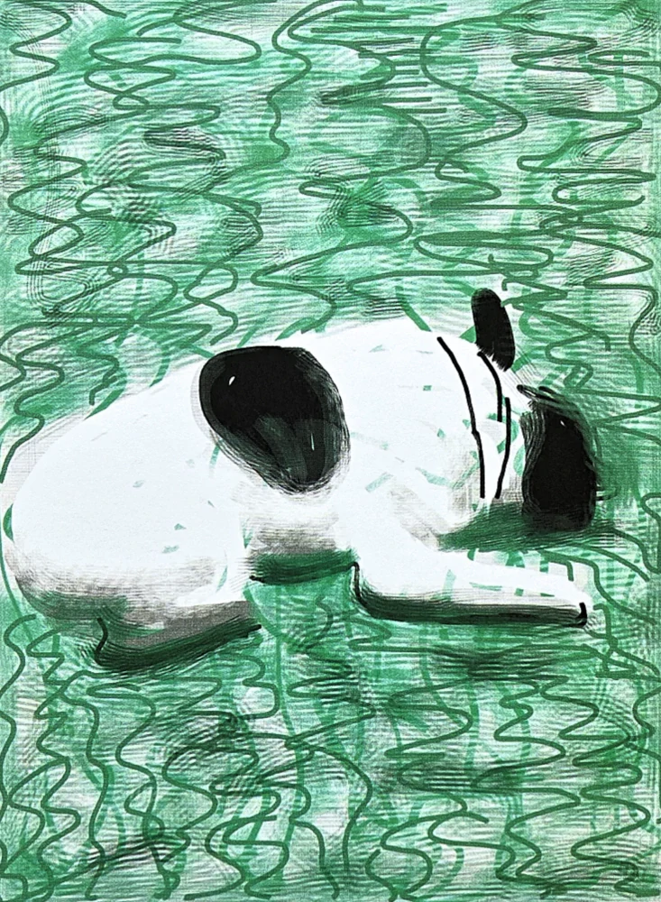 David Hockney - Moujik 14/500 - limitovaná edice, s certifikátem, 35x50 cm