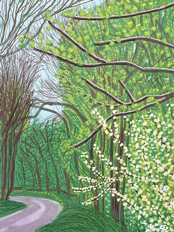 David Hockney - The Arrival of Spring in Woldgate - Trees with Road x/500 - limitovaná edice, s certifikátem, 35x50 cm